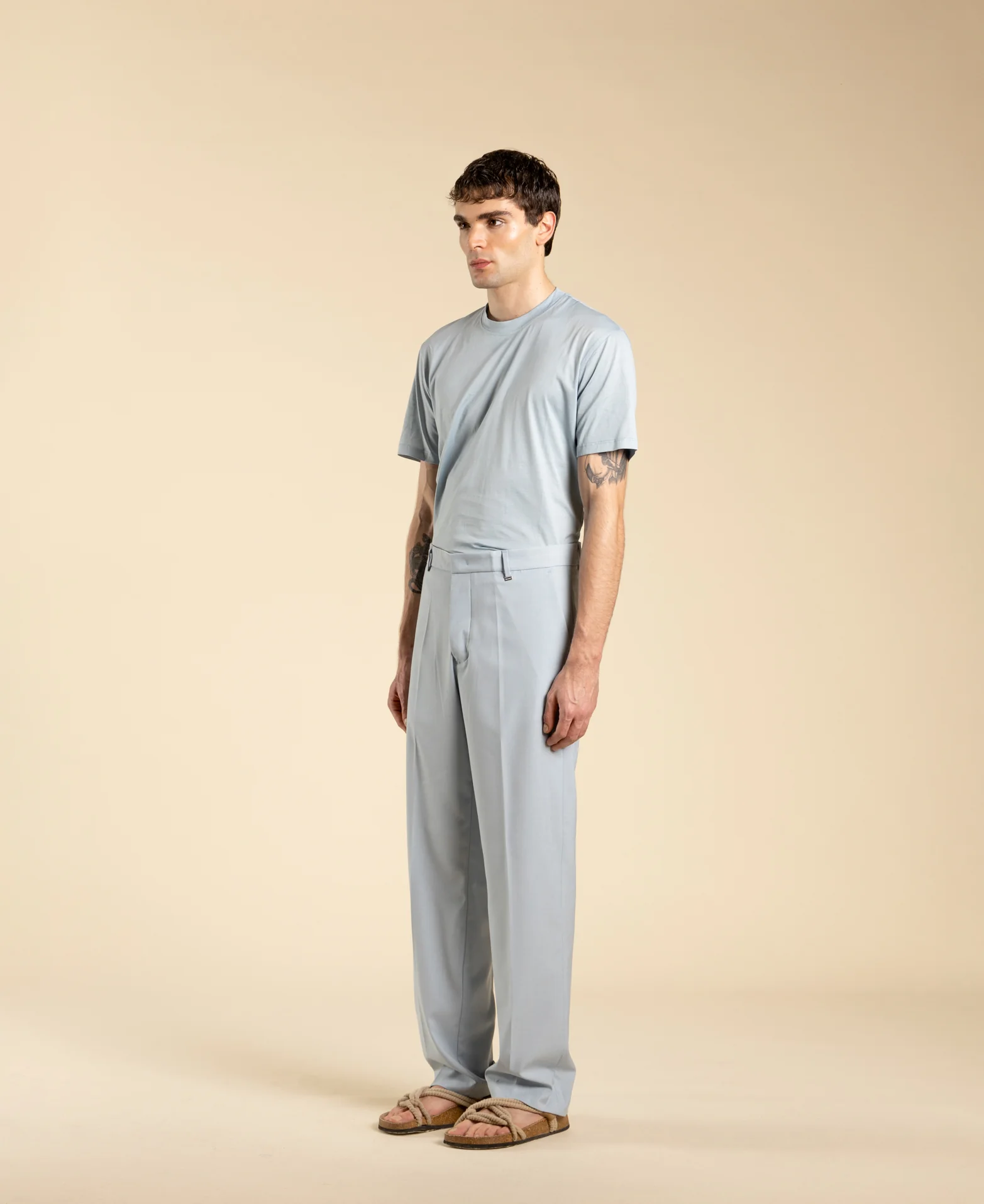 T-shirt regular fit in cotone filo di scozia TS3327 POLVERE I'M BRIAN