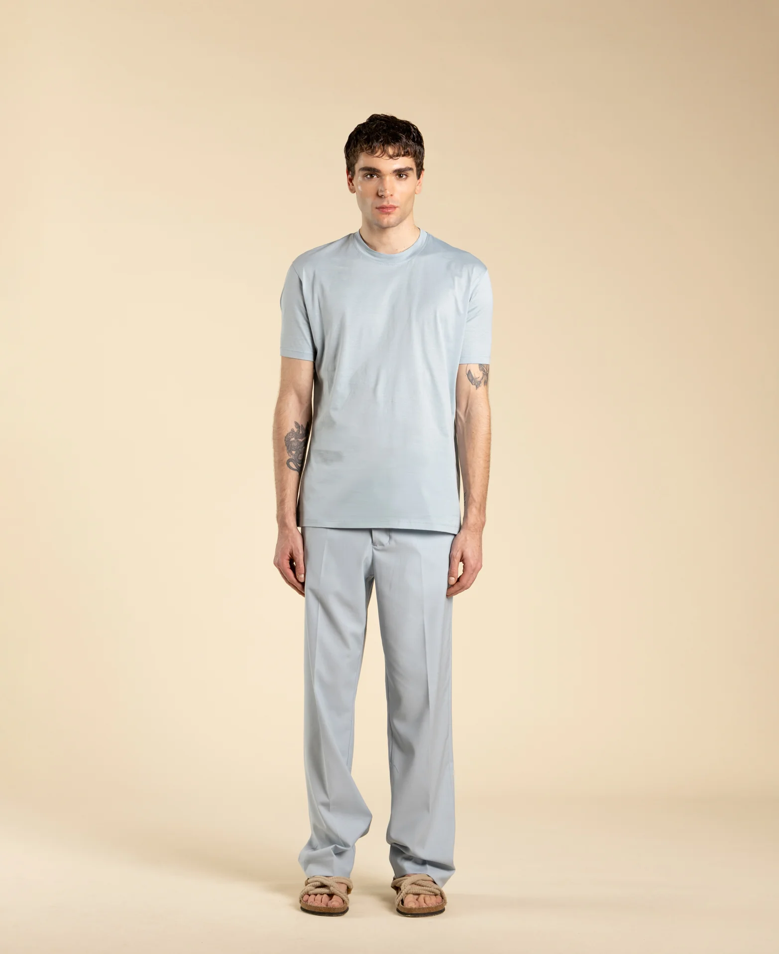 T-shirt regular fit in cotone filo di scozia TS3327 POLVERE I'M BRIAN
