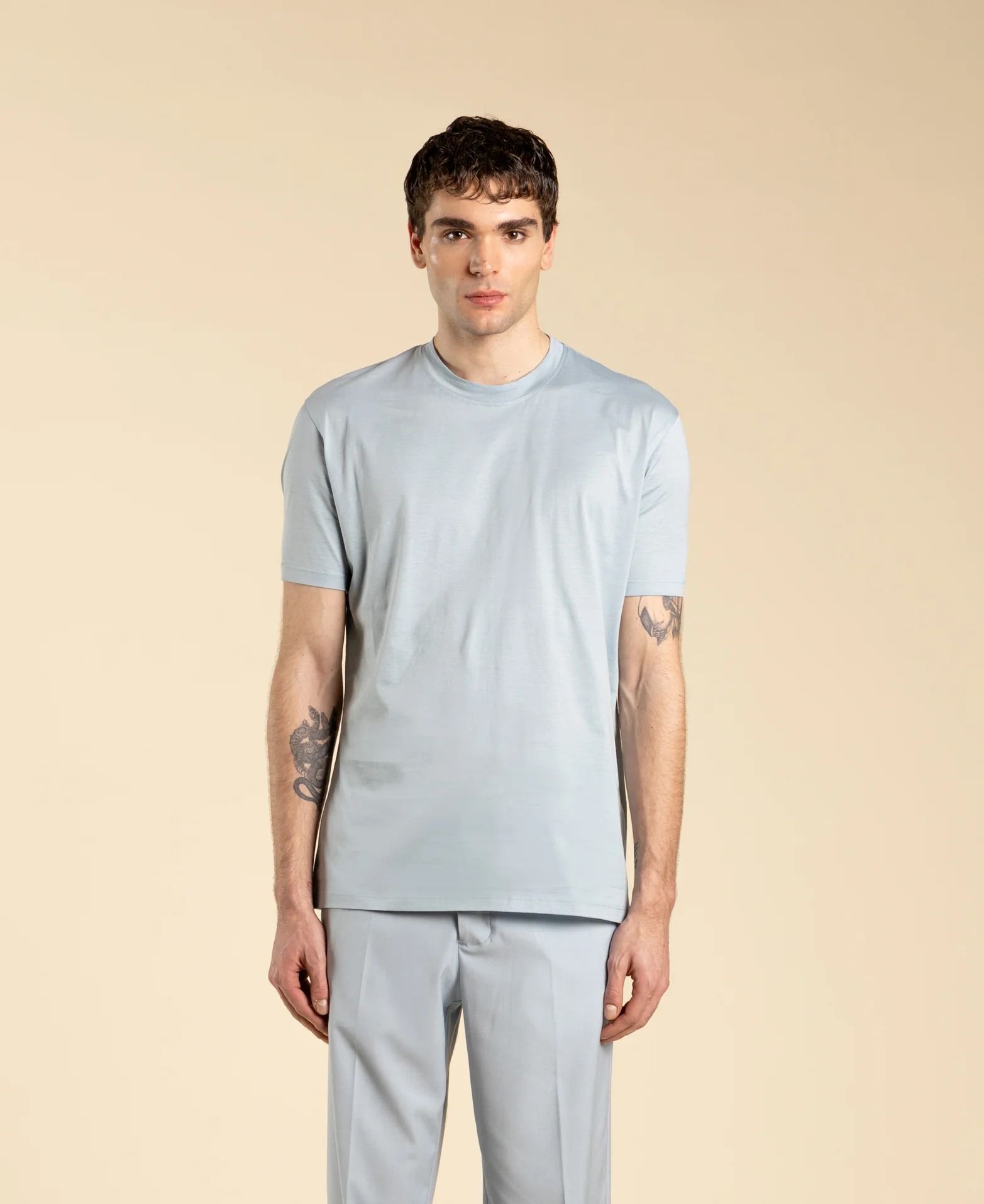 T-shirt regular fit in cotone filo di scozia TS3327 POLVERE I'M BRIAN